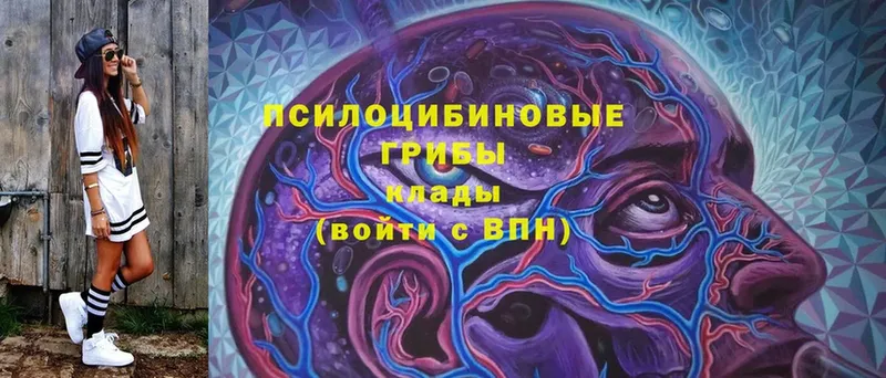 omg зеркало  как найти   Чкаловск  Галлюциногенные грибы Cubensis 